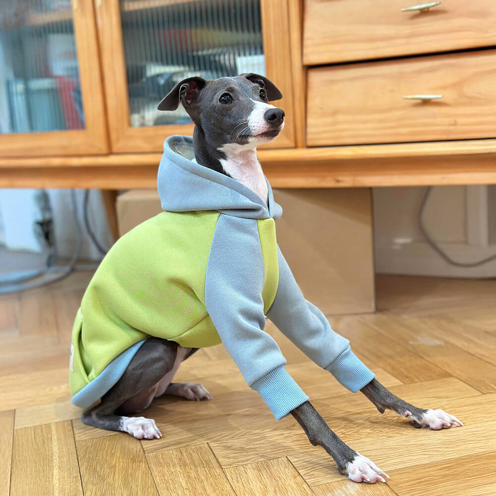 Lightweight Warm Thick Turtleneck Down Padded Dog Jacket Sweatshirt Set FunnyFuzzy