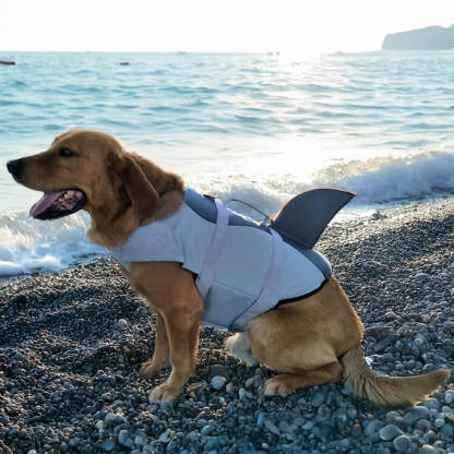 Mermaid and Shark Style Secure Fit Dog Life Jacket