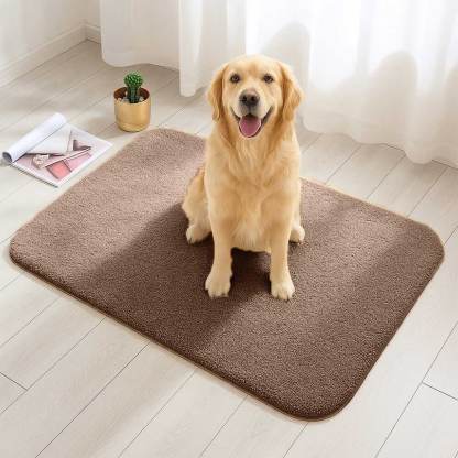 Thick Plush Absorbent Mud-Resistant Pet Door Mat for Dirty Paws