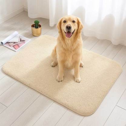 Thick Plush Absorbent Mud-Resistant Pet Door Mat for Dirty Paws