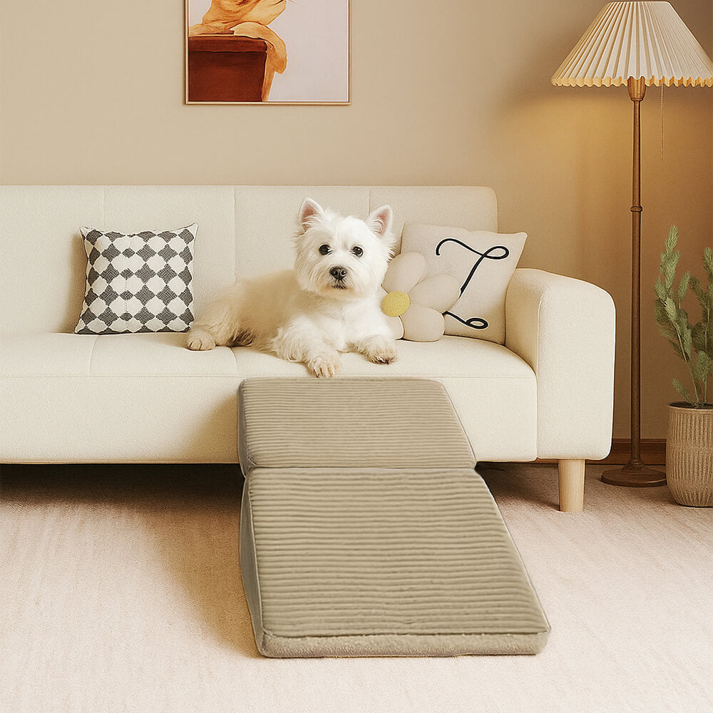 2-in-1 Convertible Wooden Home Step Stool Dog Ramp Steps