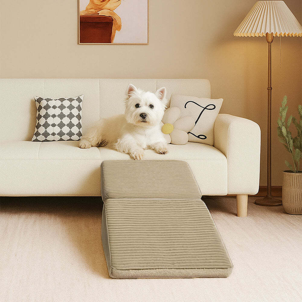 2-in-1 Convertible Wooden Home Step Stool Dog Ramp Steps