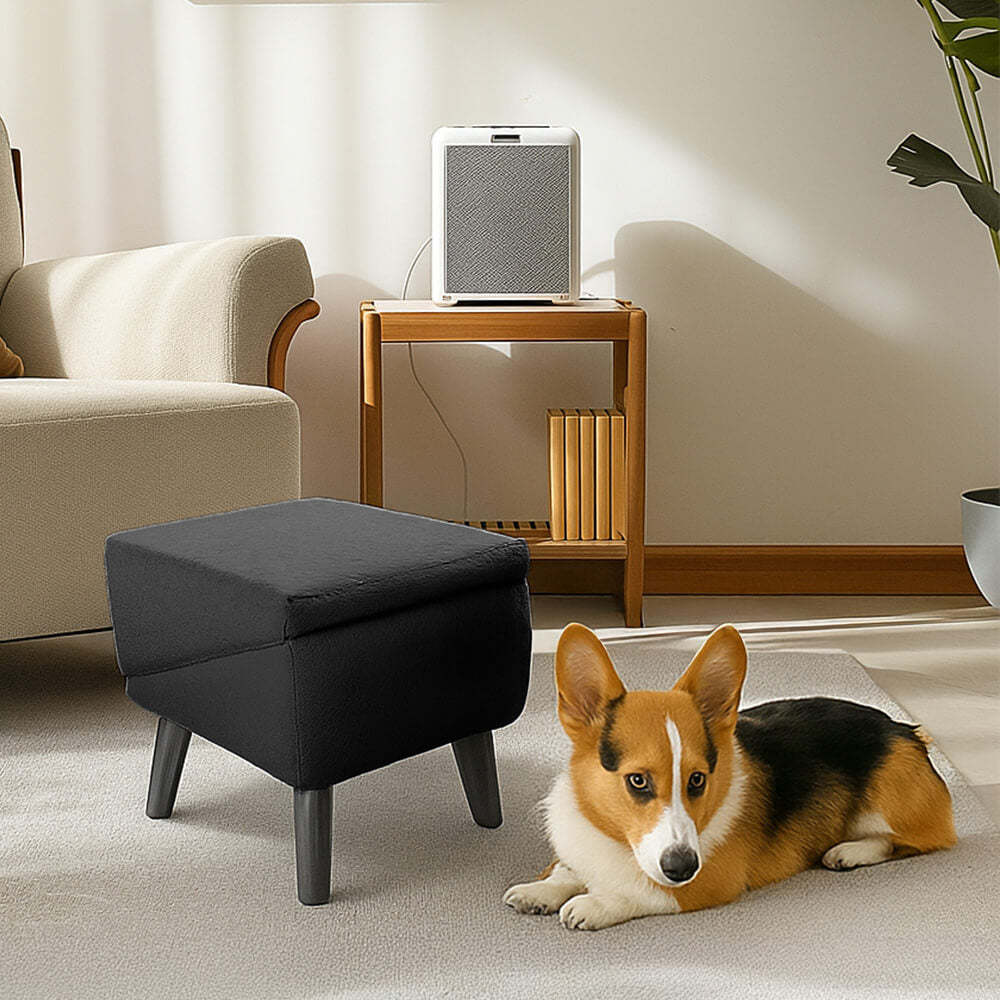 2-in-1 Convertible Wooden Home Step Stool Dog Ramp Steps