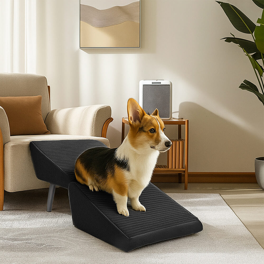 2-in-1 Convertible Wooden Home Step Stool Dog Ramp Steps