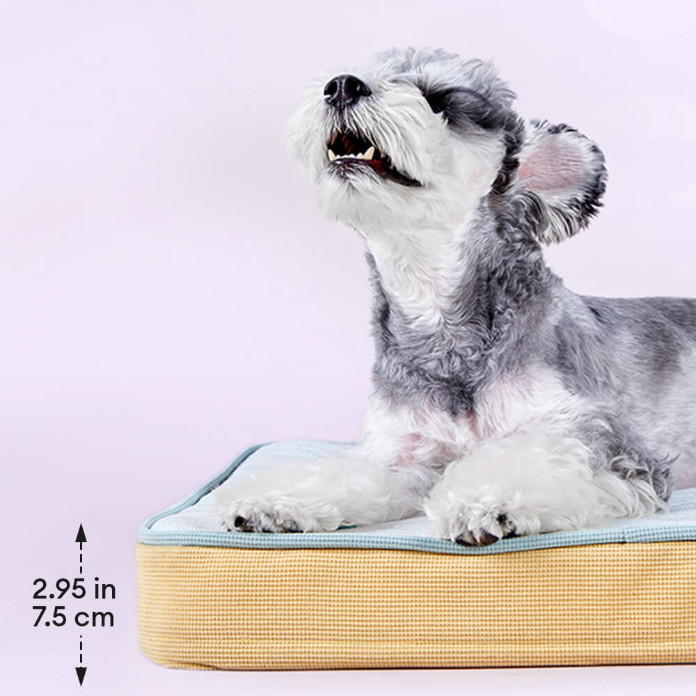 All Season Breathable Orthopaedic Dog Bed with Waterproof Liner and Pillow