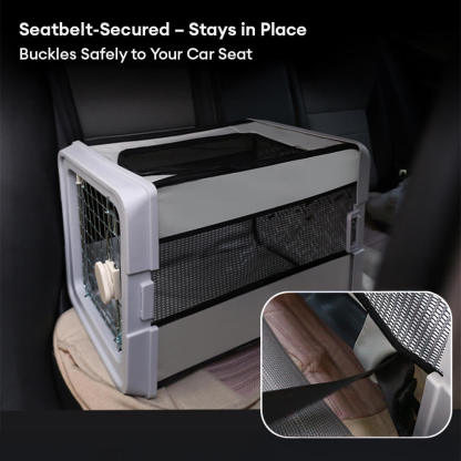 Breathable Foldable Hard-Shell Pet Carrier Crate for Cats & Small Dogs