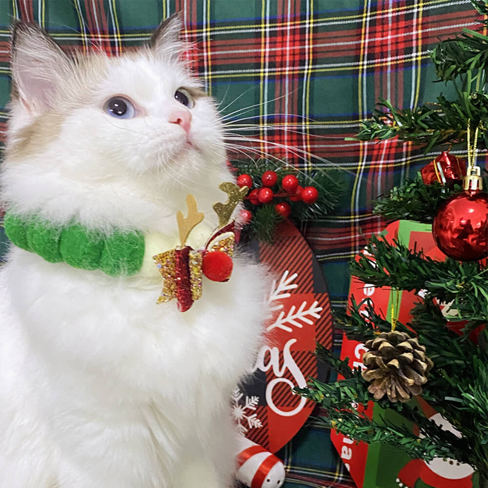 Cat bib sales