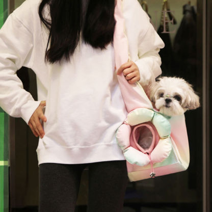 Colourful Fashion PU Leather Waterproof Portable Pet Carrier Bag