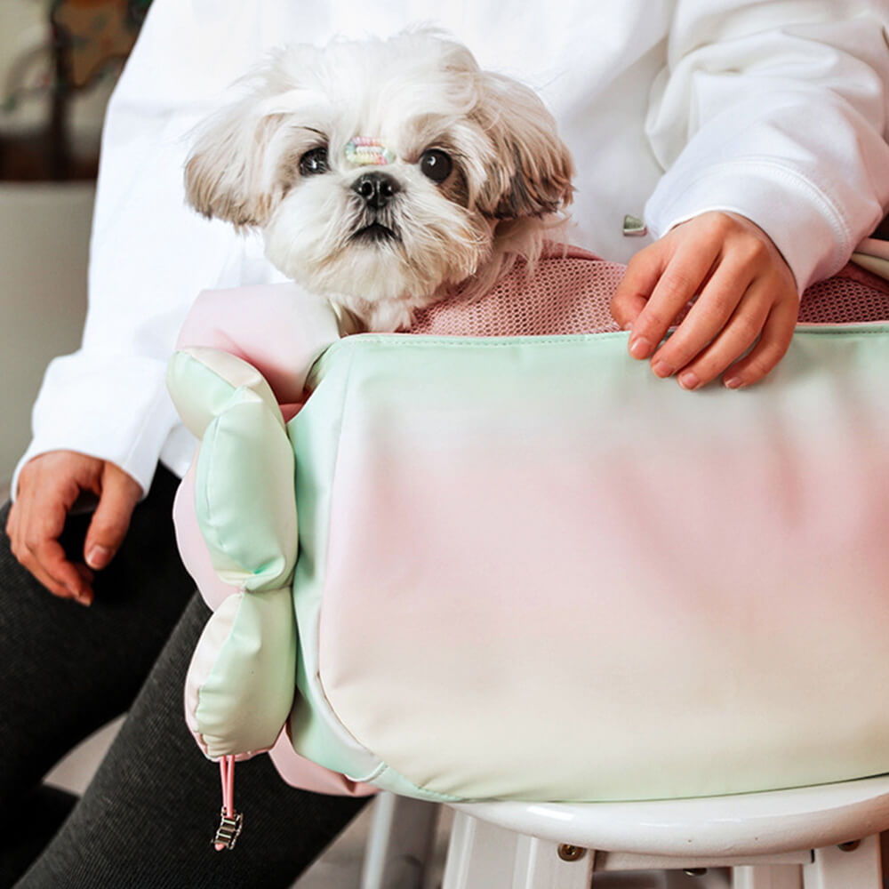 Colourful Fashion PU Leather Waterproof Portable Pet Carrier Bag