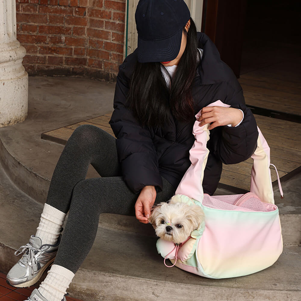 Colourful Fashion PU Leather Waterproof Portable Pet Carrier Bag