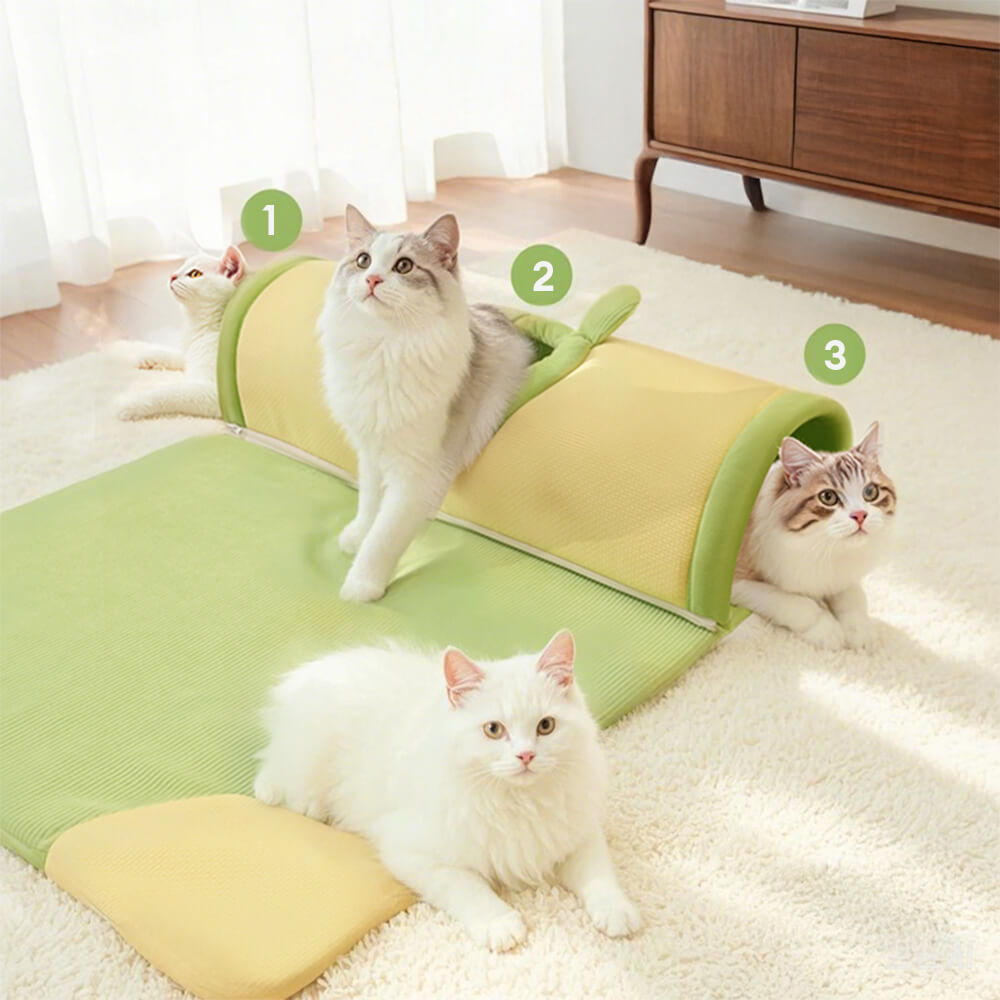 Cosy Spacious Play and Sleep Cat Tunnel Bed