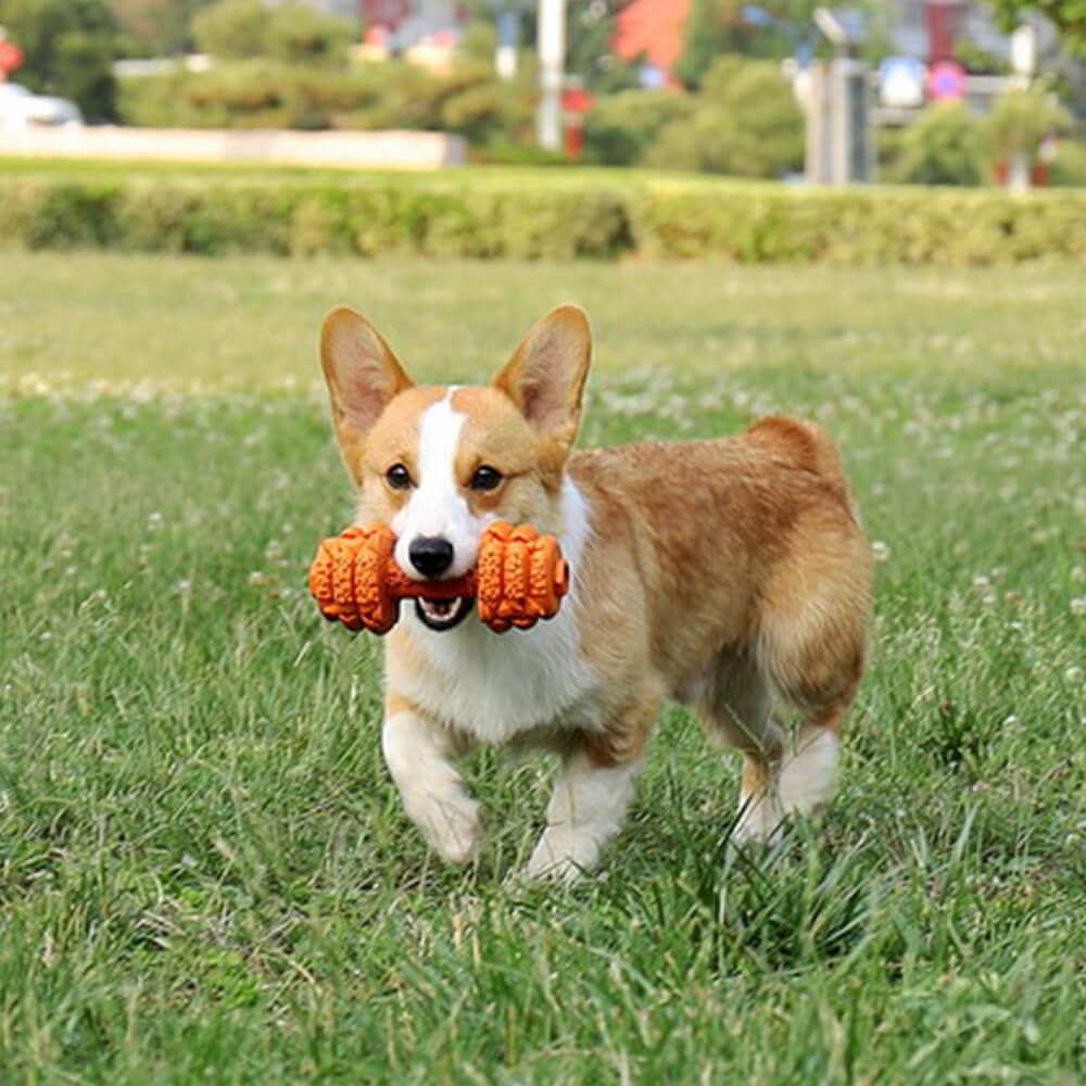 Dumbbell Silicone Slow Feeder Durable Interactive Dog Toy - FUNNYFUZZY