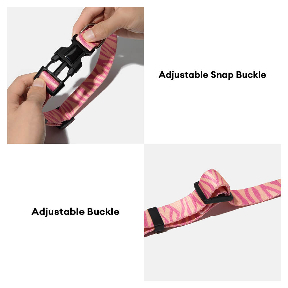 Fashion Print Nylon Lightweight Dog Collar Lead Walking Set