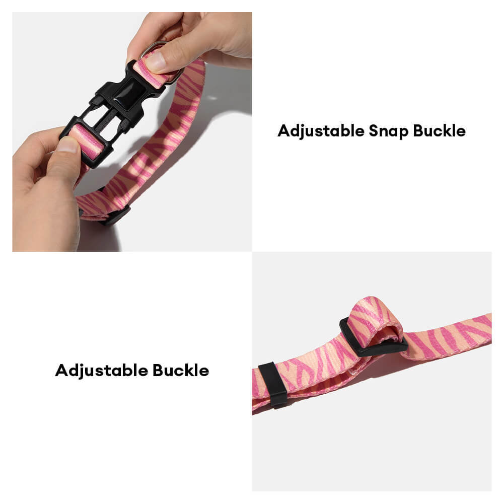 Fashion Print Nylon Lightweight Dog Collar Lead Walking Set