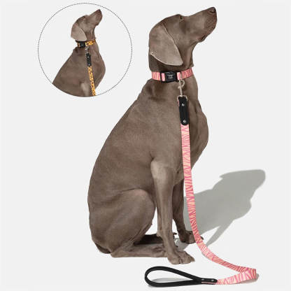Fashion Print Nylon Lightweight Dog Collar Lead Walking Set