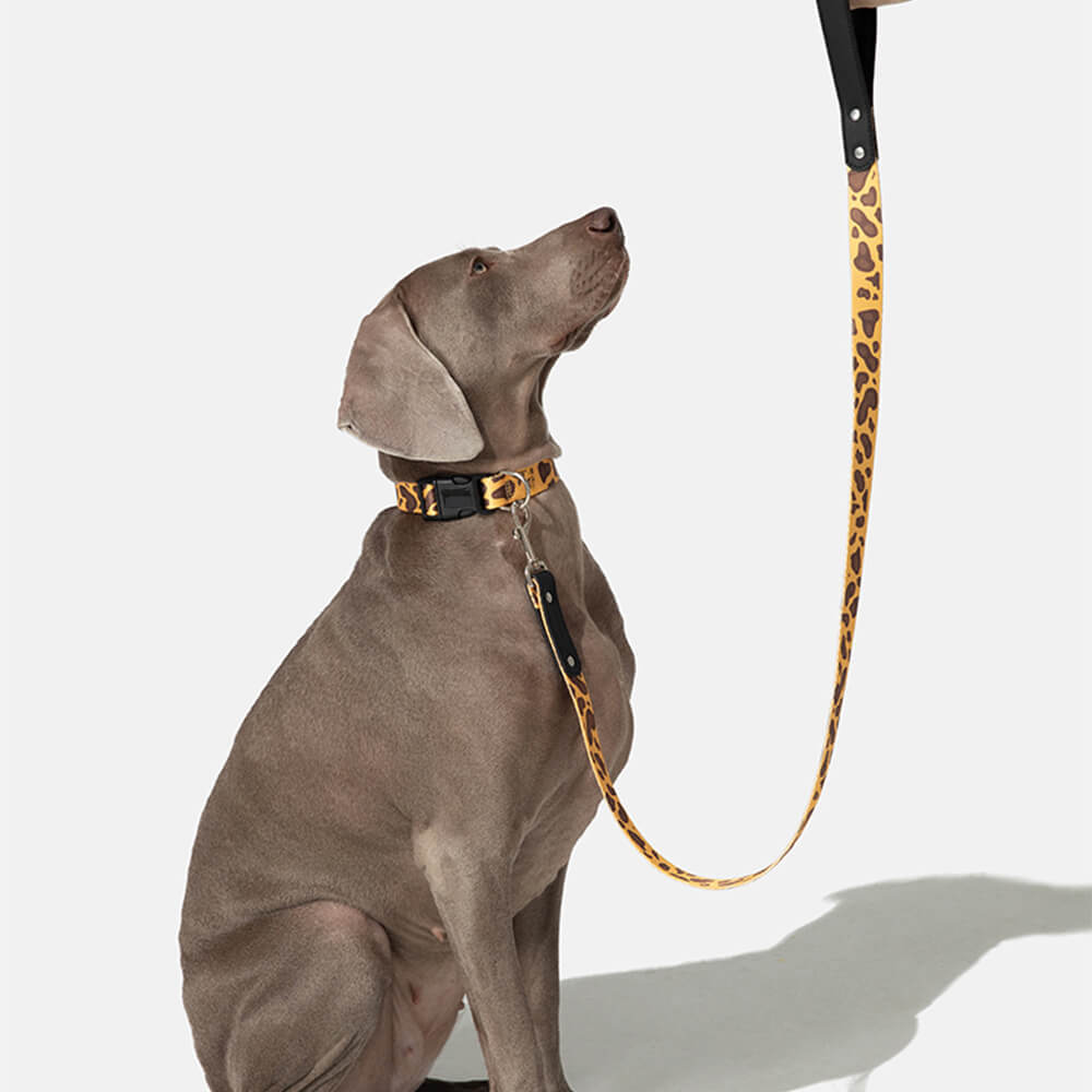 Fashion Print Nylon Lightweight Dog Collar Lead Walking Set