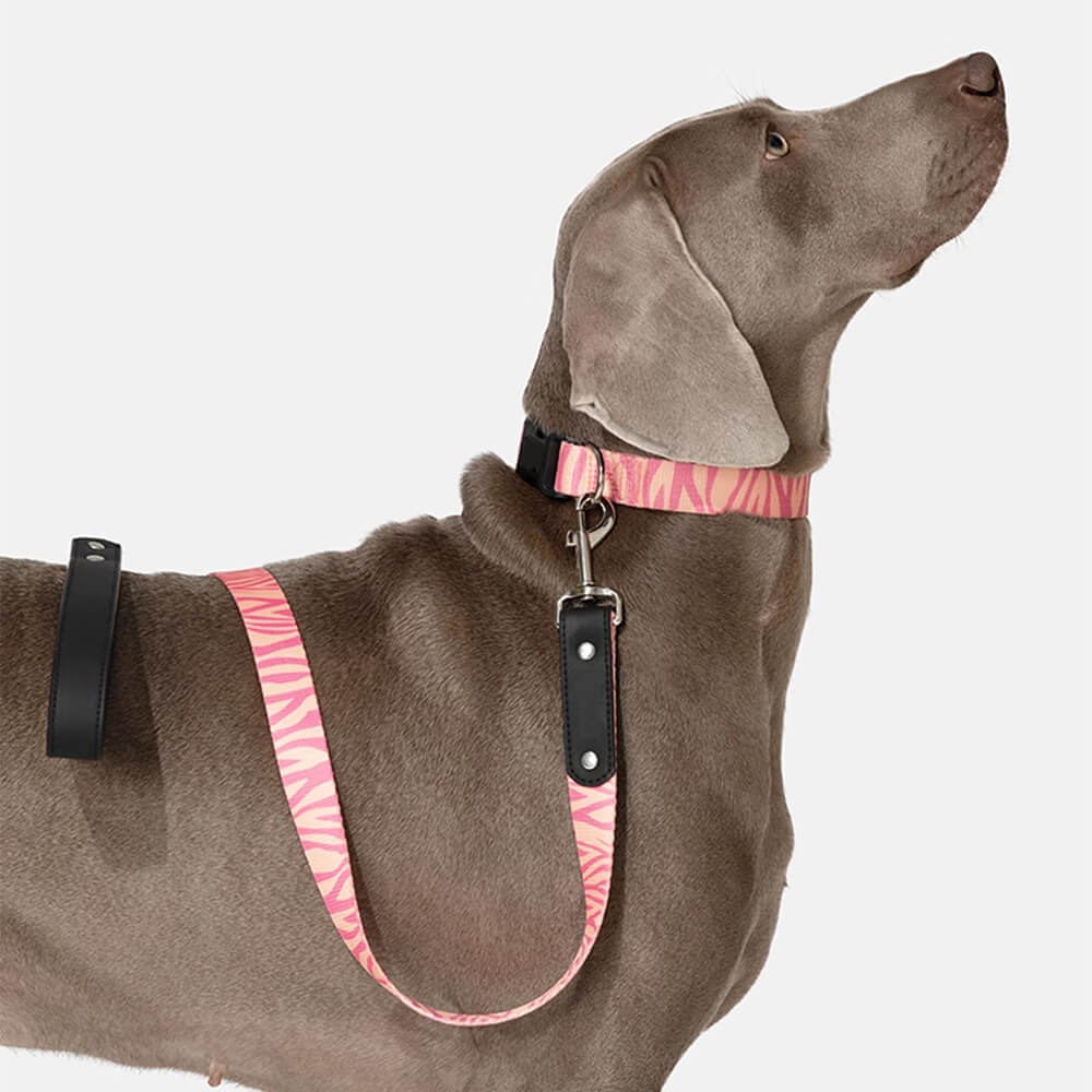 Fashion Print Nylon Lightweight Dog Collar Lead Walking Set