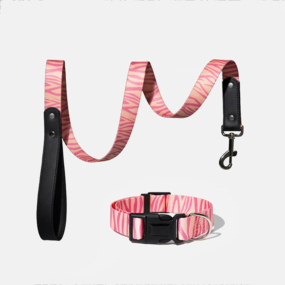 Fashion Print Nylon Lightweight Dog Collar Lead Walking Set
