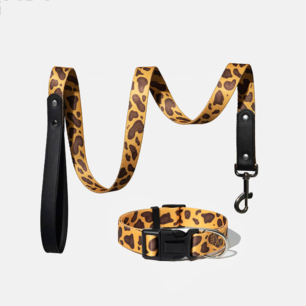 Fashion Print Nylon Lightweight Dog Collar Lead Walking Set