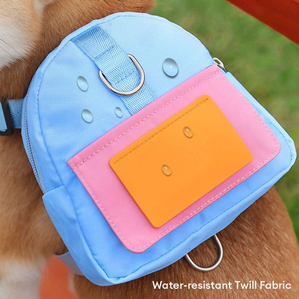 Fashionable Lead-Compatible Outdoor Adventure Pet Backpack