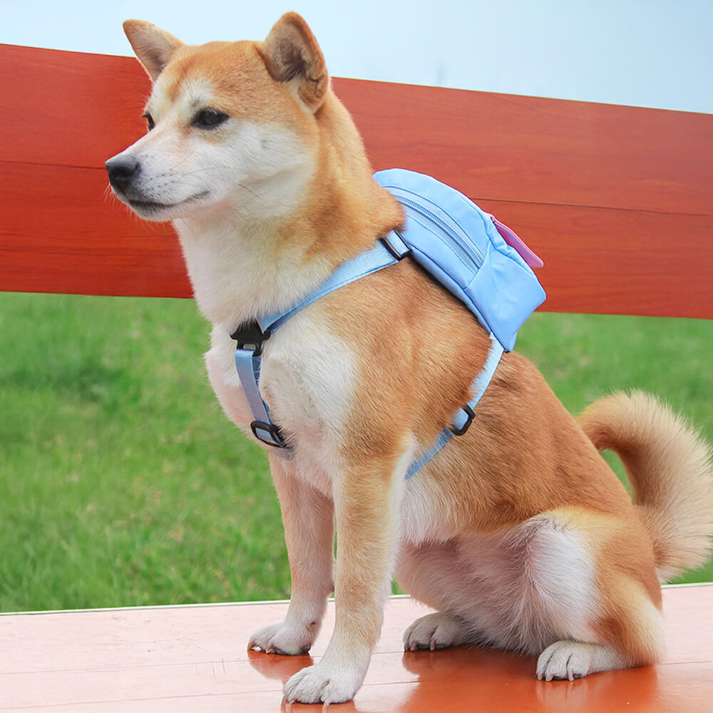 Fashionable Lead-Compatible Outdoor Adventure Pet Backpack