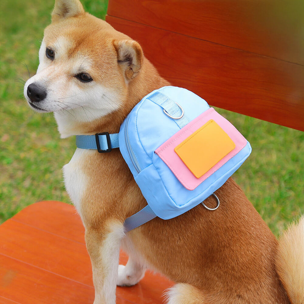 Fashionable Lead-Compatible Outdoor Adventure Pet Backpack