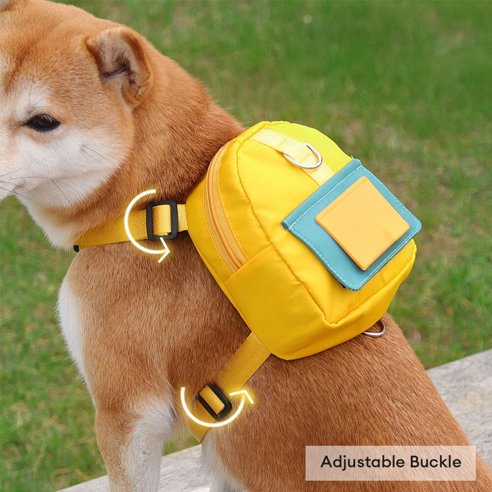 Fashionable Lead-Compatible Outdoor Adventure Pet Backpack