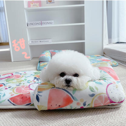 Fruit Print Cooling Ice Silk Dog & Cat Mat with Pillow
