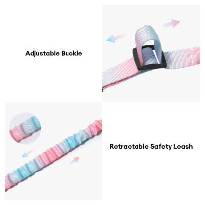 Gradient Elastic Shock-Absorbing Pet Car Safety Belt