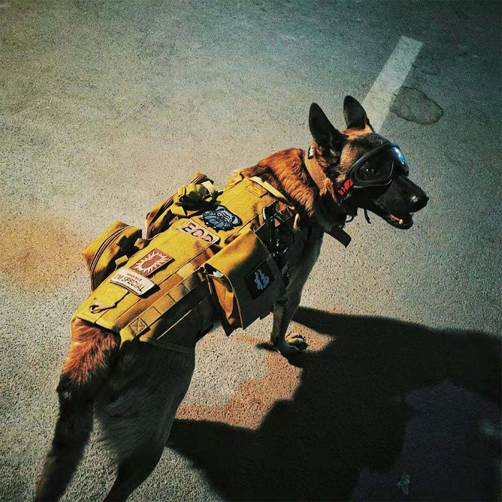 Military-Style Tactical Dog Vest with Adjustable Straps