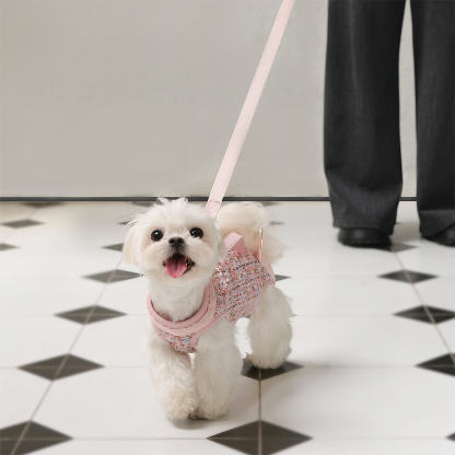 Multifunctional Carrier & Walk Vest Dog Harness Backpack for Small Dog
