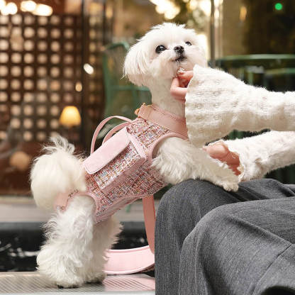 Multifunctional Carrier & Walk Vest Dog Harness Backpack for Small Dog