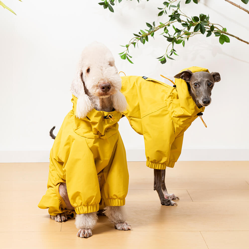 Dog raincoat with hood uk hotsell