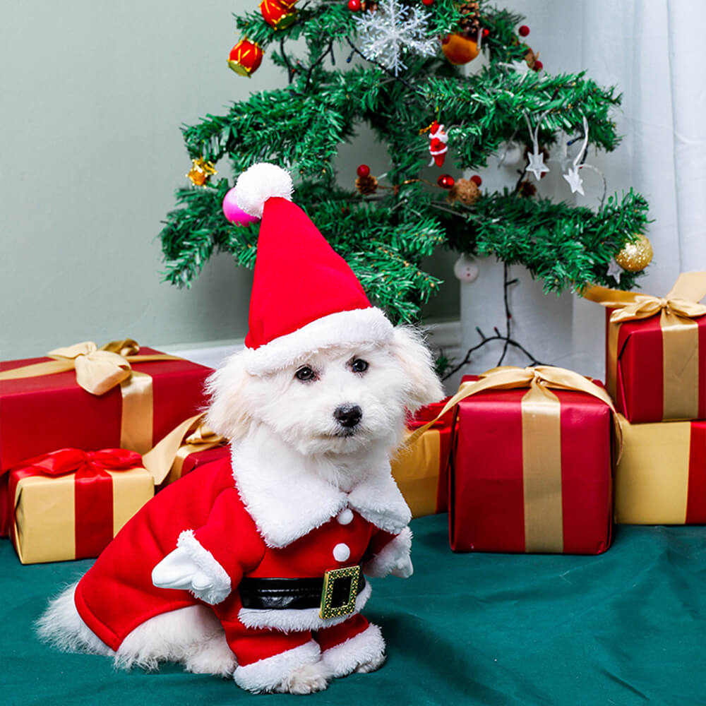 Stereoscopic Christmas Santa Claus Outfit Hat Cosplay Dog Costume FunnyFuzzy