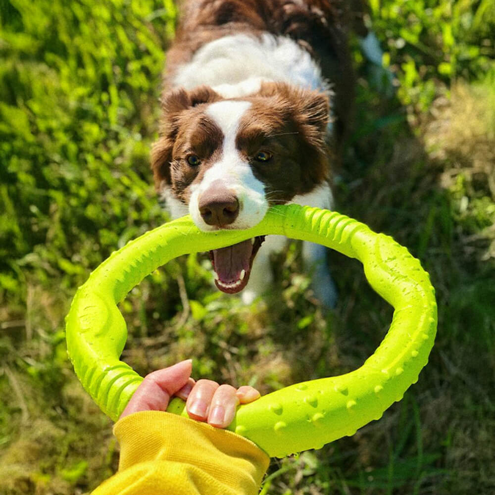 War Ring Durable Waterproof Lightweight Flexible Interactive Dog Toy - FUNNYFUZZY