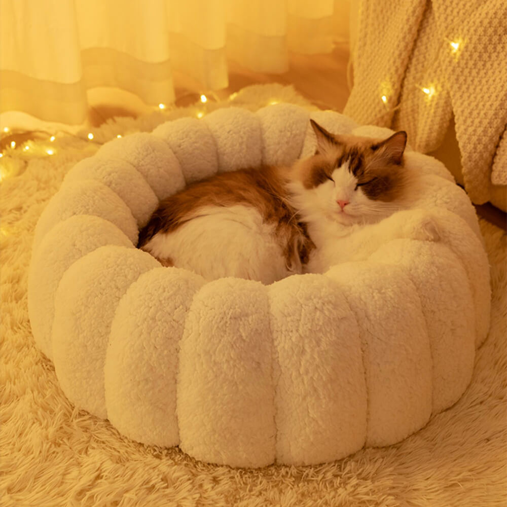 Enclosed cat beds hotsell