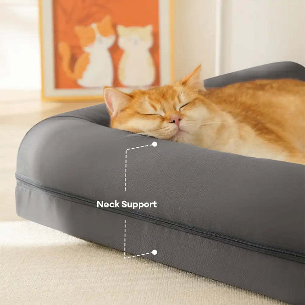 Waterproof Egg Foam Orthopaedic Bed with L Bolster Sides Large Dog Bed