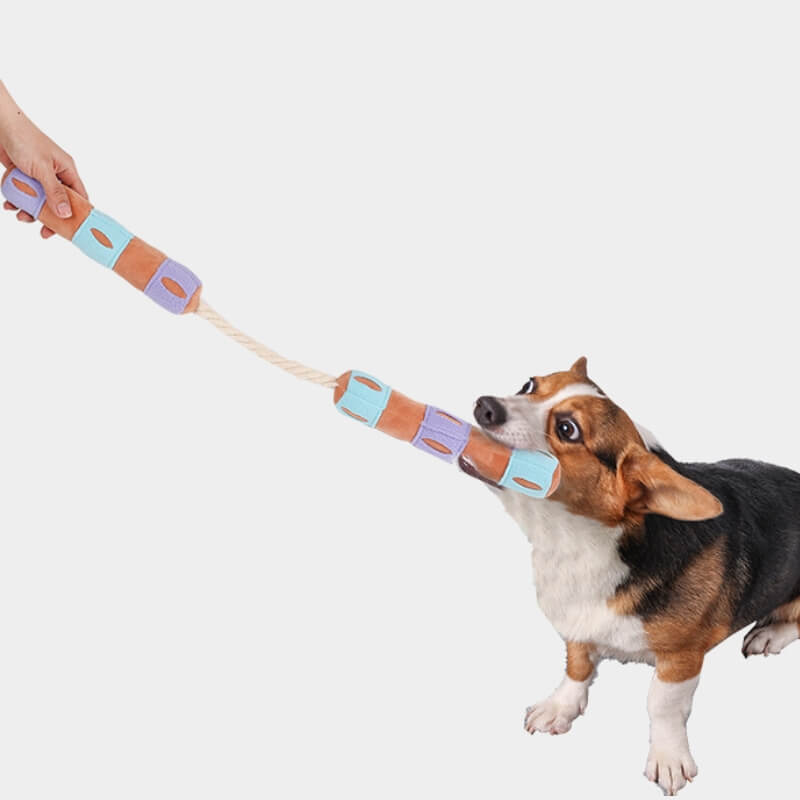Funny Interactive Puzzle Treat Dispenser Squeaky Dog Toy-FunnyFuzzy