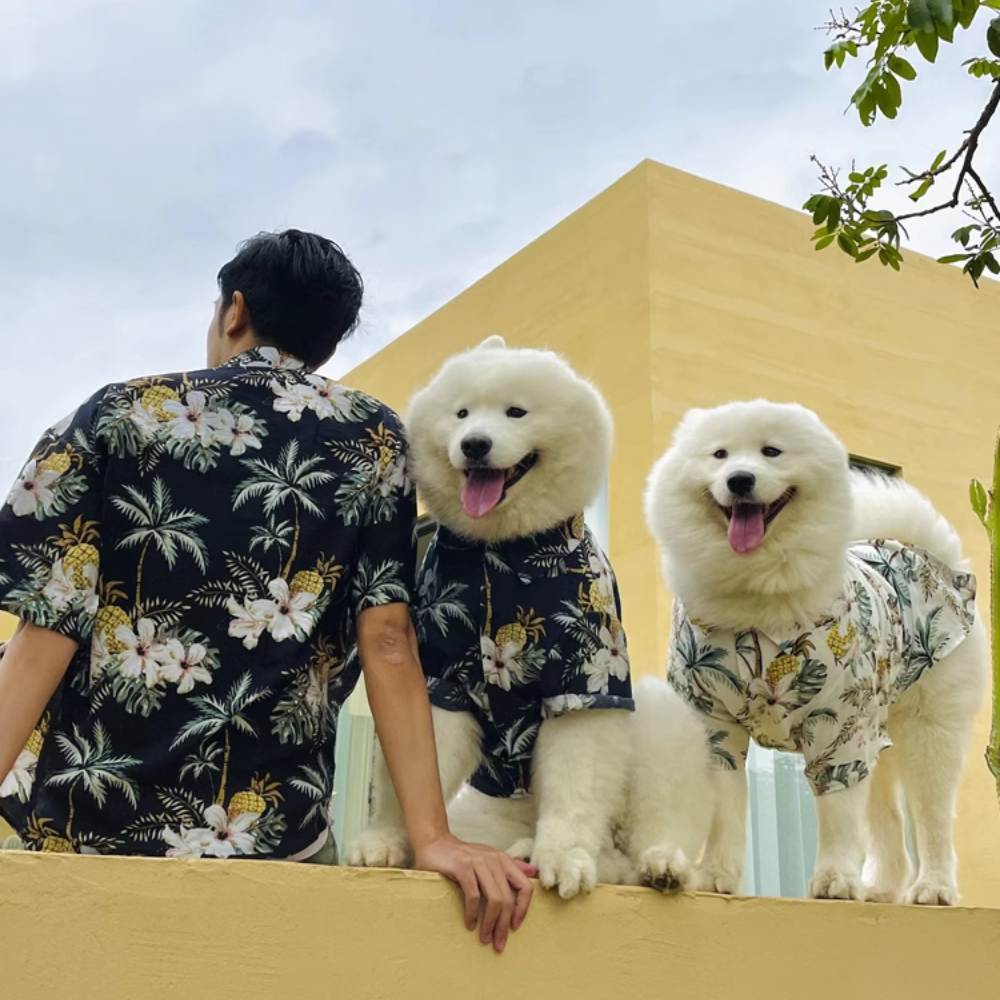 Parent-Child Dog T-Shirt Matching Dog Clothes