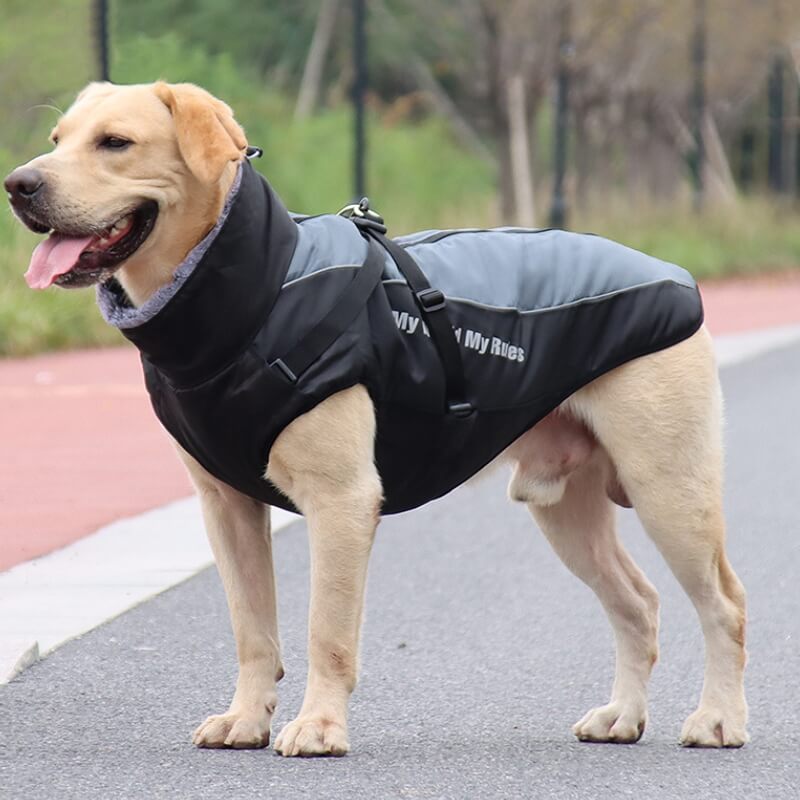 High Collar Warm Dog Jacket Thickened Dog Cotton Coat