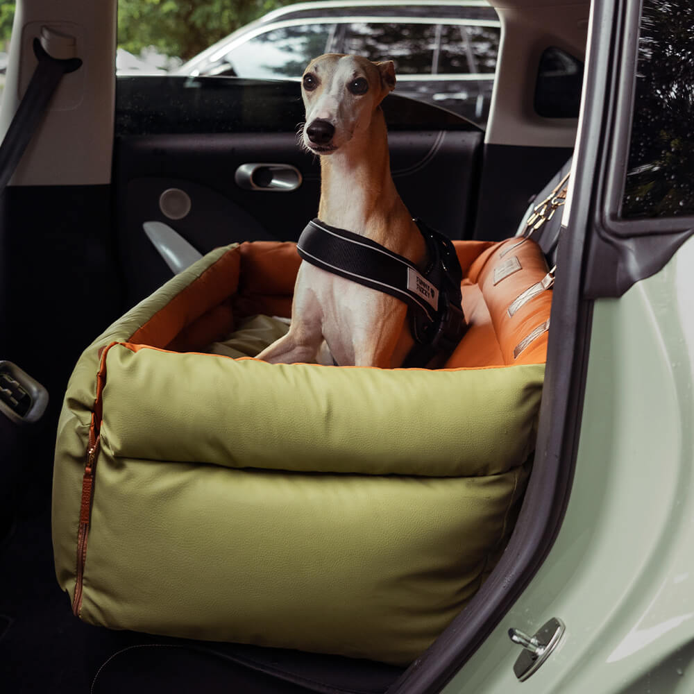 Best dog car seat covers best sale