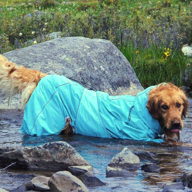 Large Dog Outdoor Jacket Waterproof Adjustable Dog Rain Coat-FunnyFuzzyUK