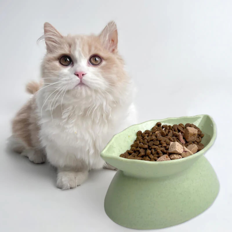 Leaf-Shaped Cat Bowl