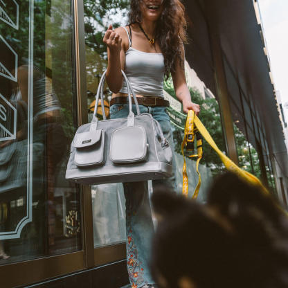 Lightweight Breathable Mesh Safe Pet Carrier - Urban Ease