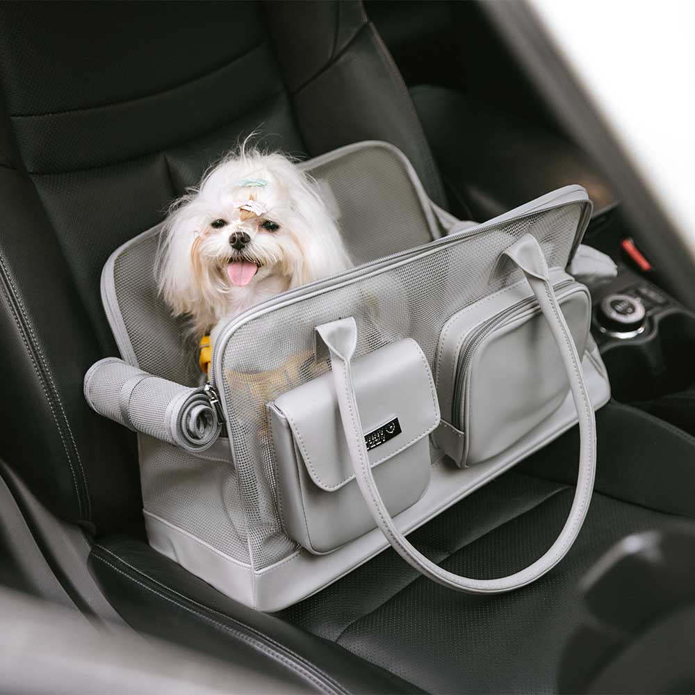 Lightweight Breathable Mesh Safe Pet Carrier - Urban Ease