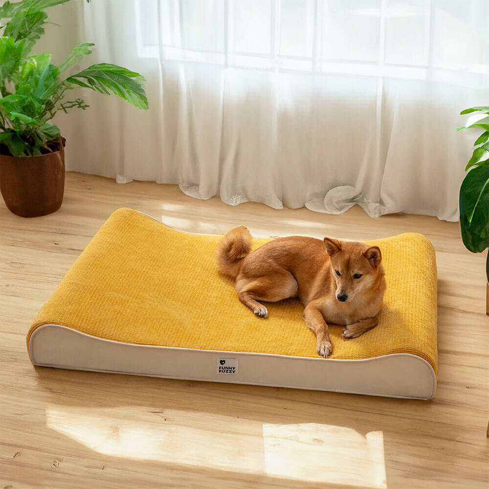 Luxurious Nobility Dog Lounge Chair Orthopaedic Dog Bed