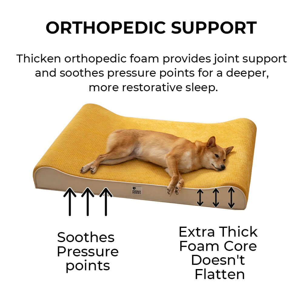 Luxurious Nobility Dog Lounge Chair Orthopaedic Dog Bed
