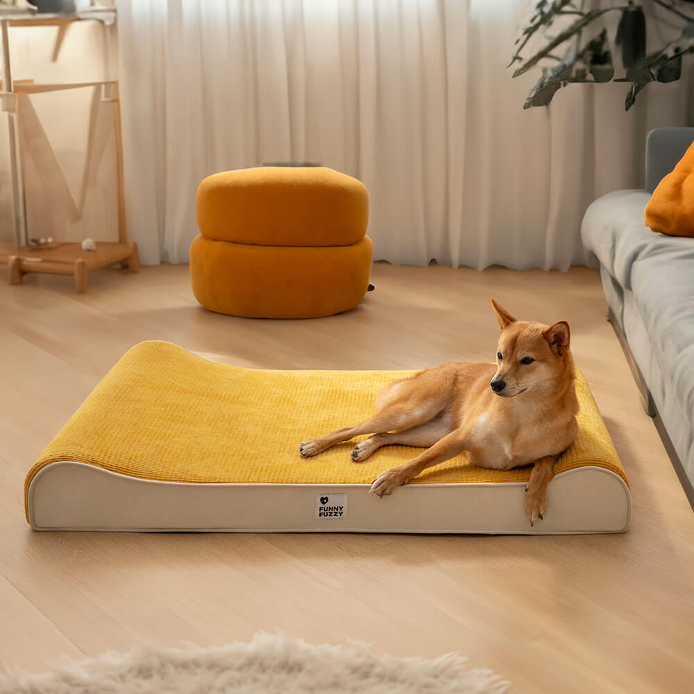 Luxurious Nobility Dog Lounge Chair Orthopaedic Dog Bed