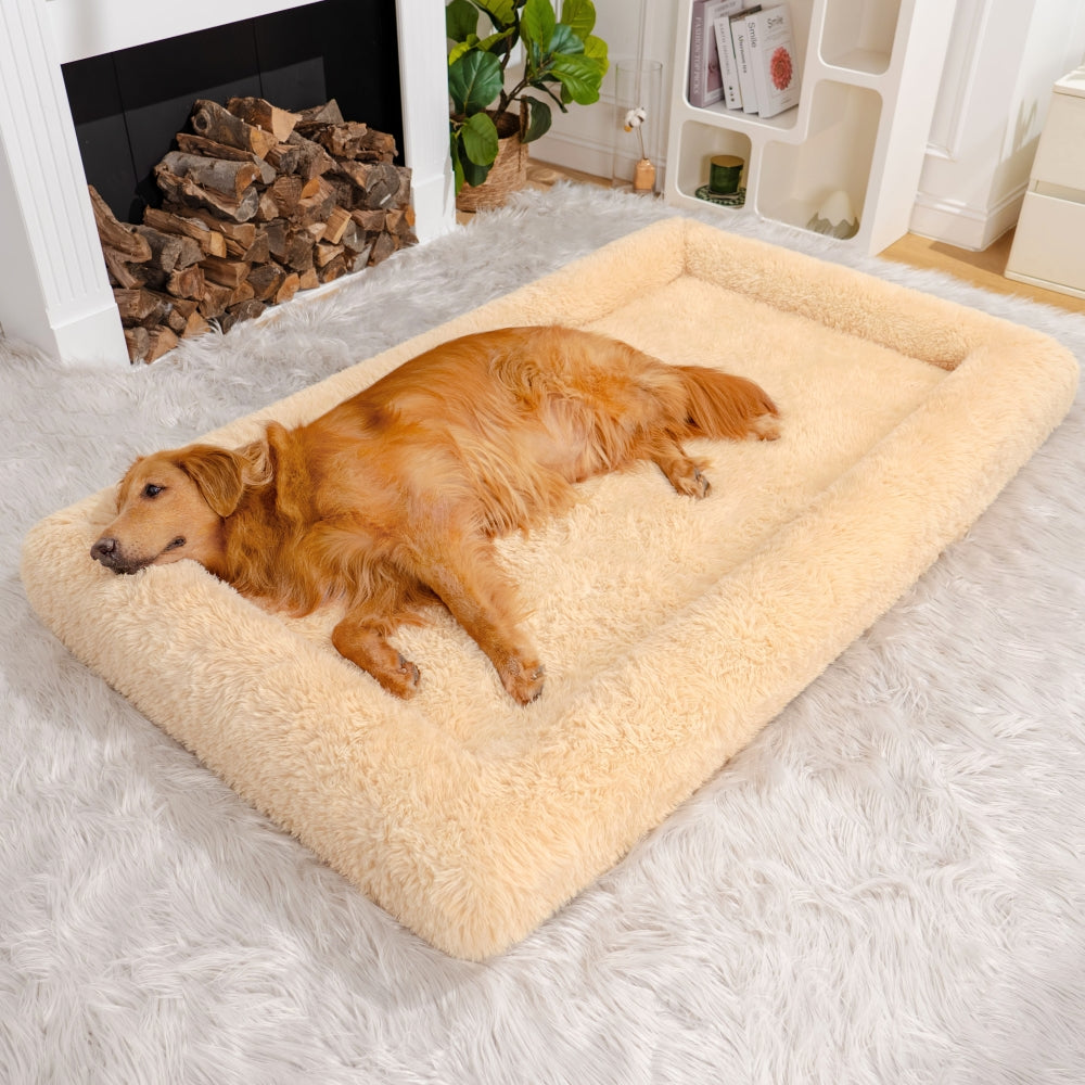 Rectangular Bed for Dog