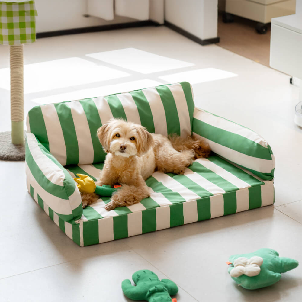 Modern Trendy Colour Blocks Waterproof Orthopaedic Dog Sofa Bed